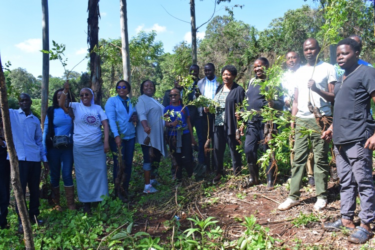 Faculty of Health Sciences staff take part in the University of Nairobi’s annual tree planting exercise at the Faculty of Agriculture, Upper Kabete Campus.