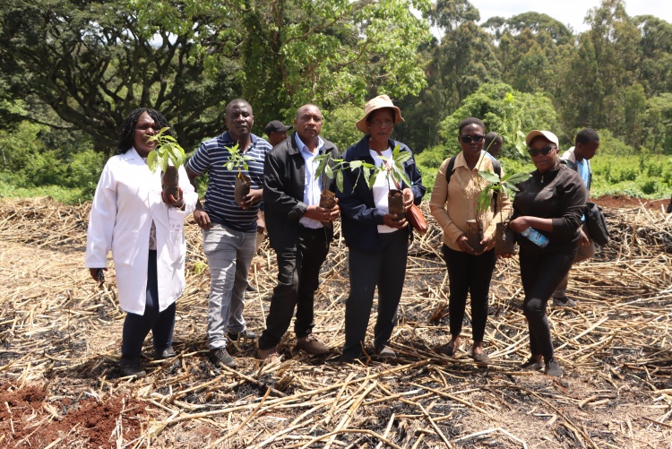 Members of FHS at the tree planting event at UoN Faculty of Agriculture Upper Kabete Campus.